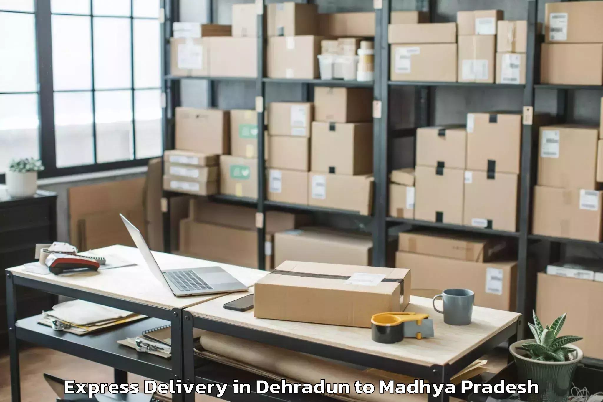 Professional Dehradun to Gyaraspur Express Delivery